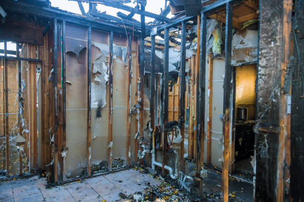 Professional Fire Damage Removal technician working in Progress, PA